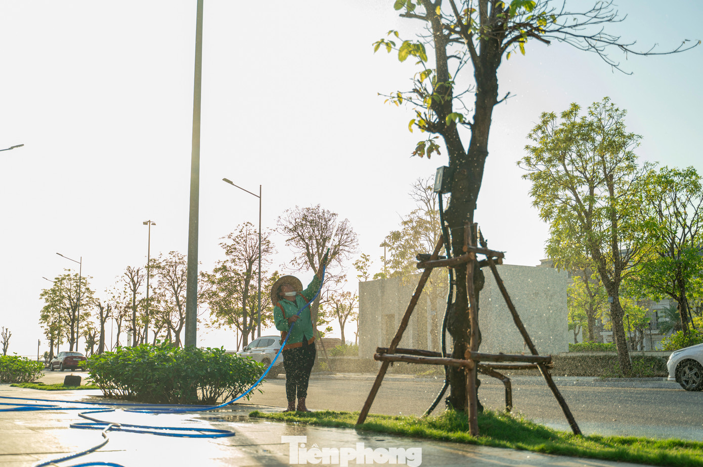 Chỉ sau 1 tuần, hệ thống cây xanh của thành phố đã được trồng lại, thay mới những cây bị gãy ngang thân. Với khí hậu có mưa và mát, cây xanh sẽ nhanh chóng phát triển, phủ xanh nhiều tuyến phố của Hạ Long trong khoảng 1 năm nữa. Chỉ sau 1 tuần, hệ thống cây xanh của thành phố đã được trồng lại, thay mới những cây bị gãy ngang thân. Với khí hậu có mưa và mát, cây xanh sẽ nhanh chóng phát triển, phủ xanh nhiều tuyến phố của Hạ Long trong khoảng 1 năm nữa.