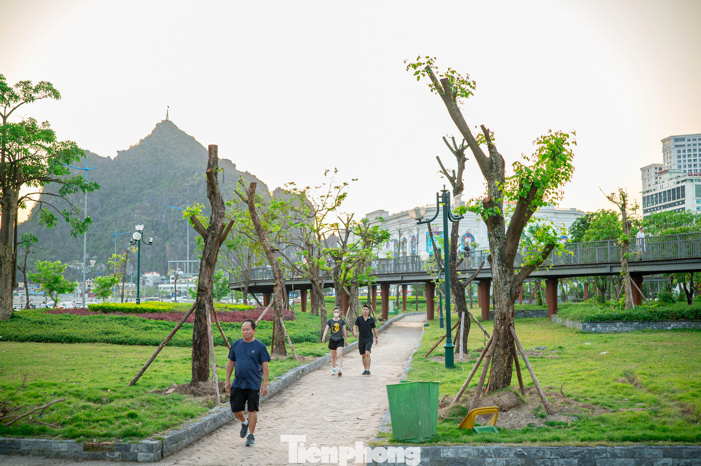 Cây xanh khu vực công viên Lán Bè hầu hết phải trồng lại nay cũng mọc chồi non xanh biếc. Cây xanh khu vực công viên Lán Bè hầu hết phải trồng lại nay cũng mọc chồi non xanh biếc.