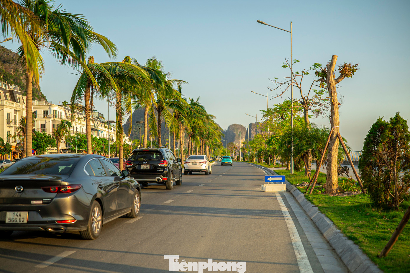 Đường bao biển Hạ Long - Cẩm Phả đoạn qua khu vực bến Đoan trước khi bão đổ bộ luôn rợp bóng cây xanh nhưng nay xơ xác, nhiều cây bị cắt hết cành lá để trồng lại. Đường bao biển Hạ Long - Cẩm Phả đoạn qua khu vực bến Đoan trước khi bão đổ bộ luôn rợp bóng cây xanh nhưng nay xơ xác, nhiều cây bị cắt hết cành lá để trồng lại.