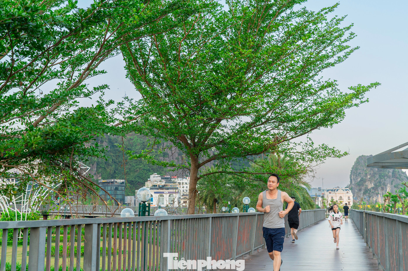 "Rất mong Hạ Long sớm lấy lại màu xanh như trước đây để chúng tôi ngày ngày được ngắm nhìn, hít thở không khí trong lành. Cơn bão quá khủng khiếp nhưng mọi thứ đã qua đi, cuộc sống bình thường đang dần trở lại", anh N.V.T, cư dân phường Bạch Đằng nói. "Rất mong Hạ Long sớm lấy lại màu xanh như trước đây để chúng tôi ngày ngày được ngắm nhìn, hít thở không khí trong lành. Cơn bão quá khủng khiếp nhưng mọi thứ đã qua đi, cuộc sống bình thường đang dần trở lại", anh N.V.T, cư dân phường Bạch Đằng nói.