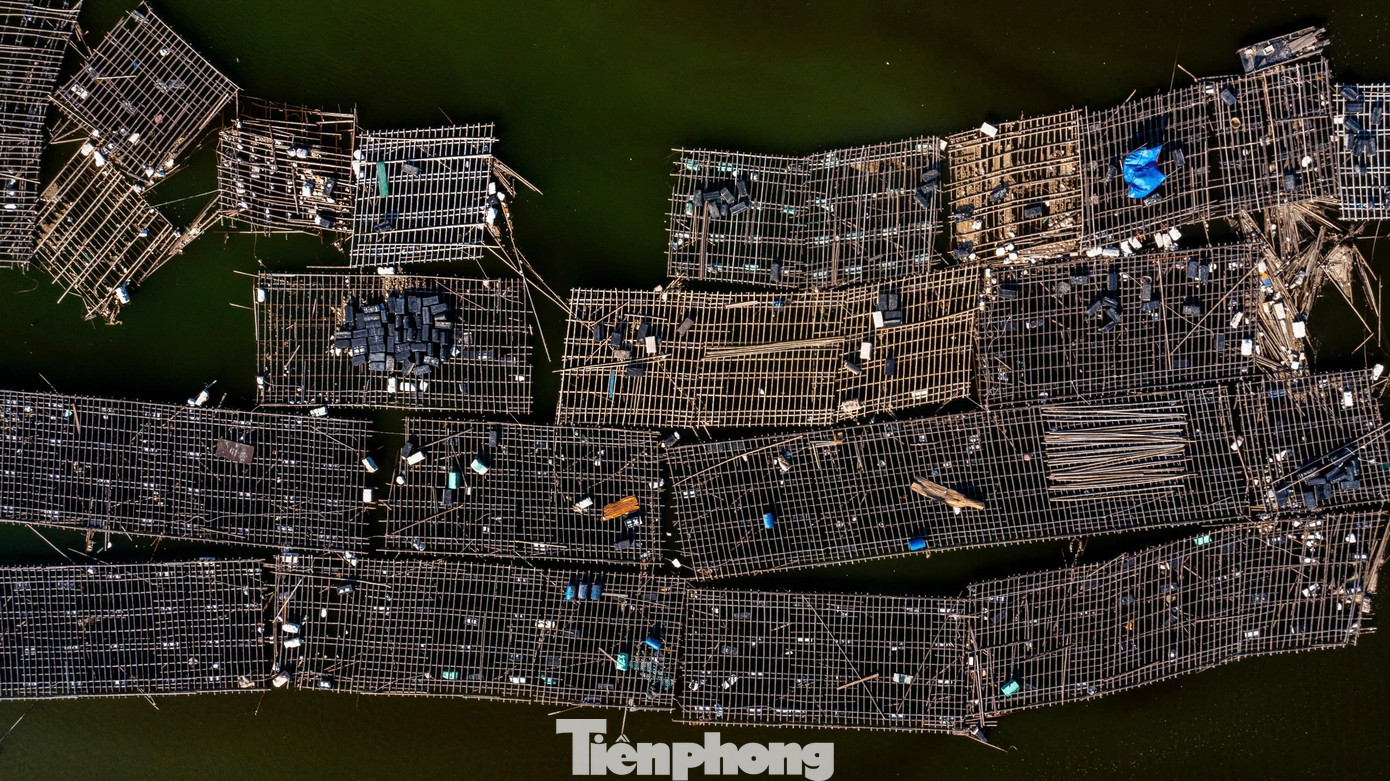 Cụ thể, mỗi hộ dân được giao diện tích 0,6ha kèm theo vị trí, sơ đồ khu vực biển nuôi trồng thủy sản nằm trong quy hoạch của thị xã Quảng Yên. Hiện chính quyền đã tiếp nhận 501 đơn của các hộ đề nghị xin giao khu vực biển để nuôi trồng thủy sản trong khu quy hoạch tập trung của thị xã.