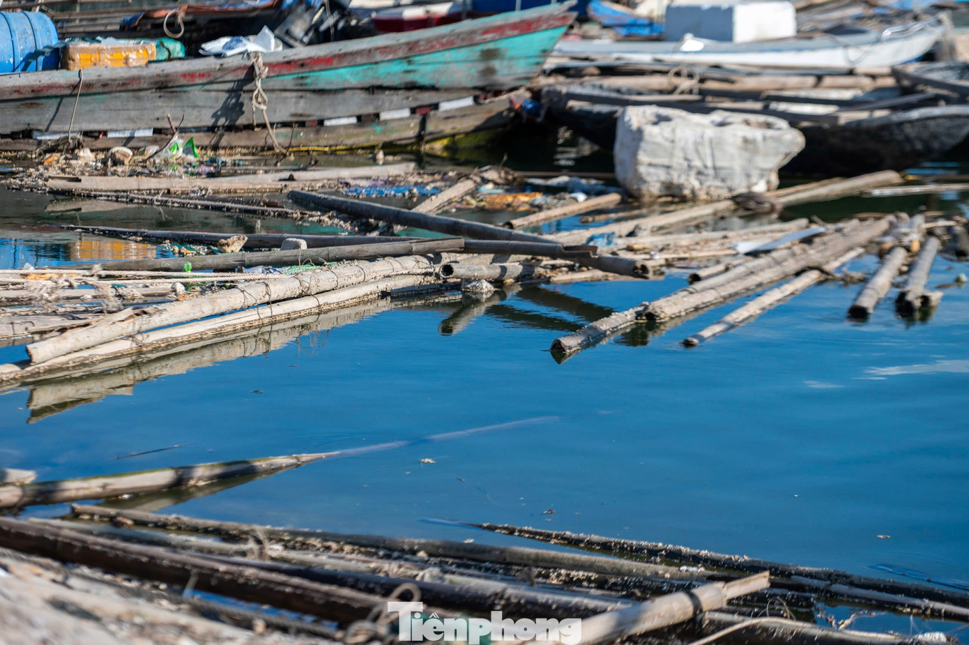 Trong đó, vùng nuôi trồng thủy sản thuộc thị xã Quảng Yên gần như bị xóa sổ hoàn toàn. Khoảng 1.600 ha nuôi trồng thủy sản, trong đó toàn bộ lồng, bè nuôi hàu, cá biển bị vỡ, hỏng hoàn toàn và 883ha đầm nuôi trồng thủy sản bị thiệt hại.