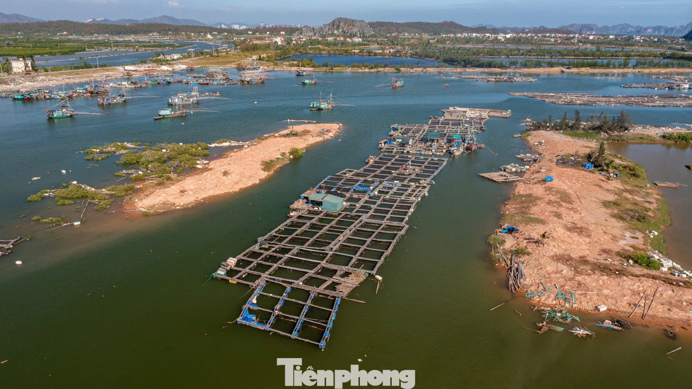 Ông Trần Đức Thắng, Chủ tịch UBND thị xã Quảng Yên, cho biết chính quyền thị xã đã tổ chức bàn giao khu vực nuôi trồng thủy sản cho 164 hộ đầu tiên ở xã Hoàng Tân và phường Phong Hải để người dân sớm tái sản xuất.