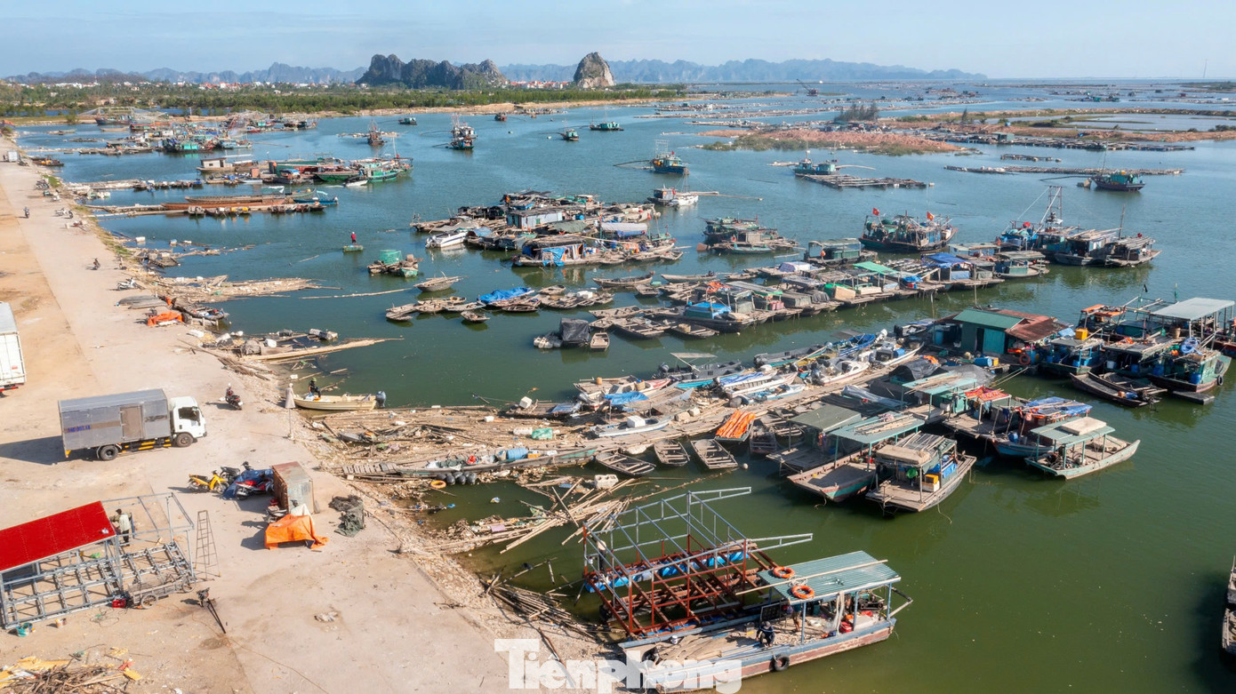 Bão số 3 (Yagi) đổ bộ trực tiếp vào Quảng Ninh gây thiệt hại nặng nề cho tỉnh này. Trong con số trên 25.000 tỷ đồng tài sản bị ảnh hưởng bởi bão, ngành nuôi trồng thủy sản bị thiệt hại nặng nề .