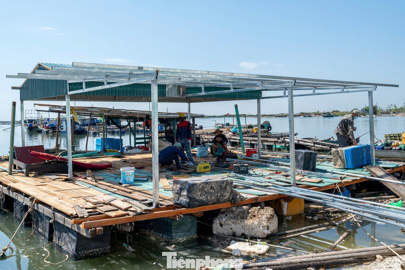 Ghi nhận của báo Tiền Phong tại khu vực sông bến Giang, khu vực địa bàn xã Liên Hòa, Phong Hải, Hoàng Tân…, nhiều hộ dân đang tiến hành sang giống, đóng lại bè để chuẩn bị nuôi hàu giống.