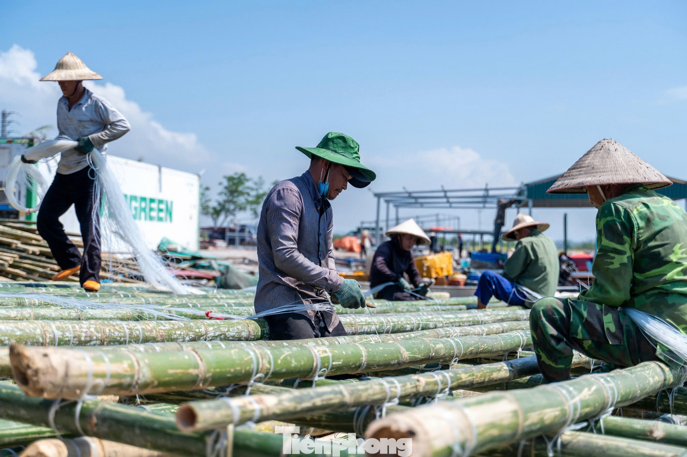 Anh Nguyễn Văn Công, trú phường Hoàng Tân, Quảng Yên, cho biết bão số 3 khiến toàn bộ bè nuôi hàu sắp thu hoạch của gia đình bị mất hết, ước tính thiệt hại khoảng hơn 2 tỷ đồng.
