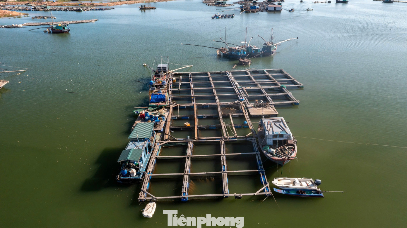 “Chậm hơn, nước lạnh, hải sản sẽ không lớn, hiệu quả kinh tế sẽ giảm đi. Vì vậy, các chính sách hỗ trợ lúc này là rất kịp thời. Ngay sau khi được ngân hàng hỗ trợ vay vốn 500 triệu đồng, tôi đã mua ngay cá để tái sản xuất, đồng thời gia cố các bè mảng, cố gắng vực dậy, làm lại từ đầu”, anh Tuấn chia sẻ.