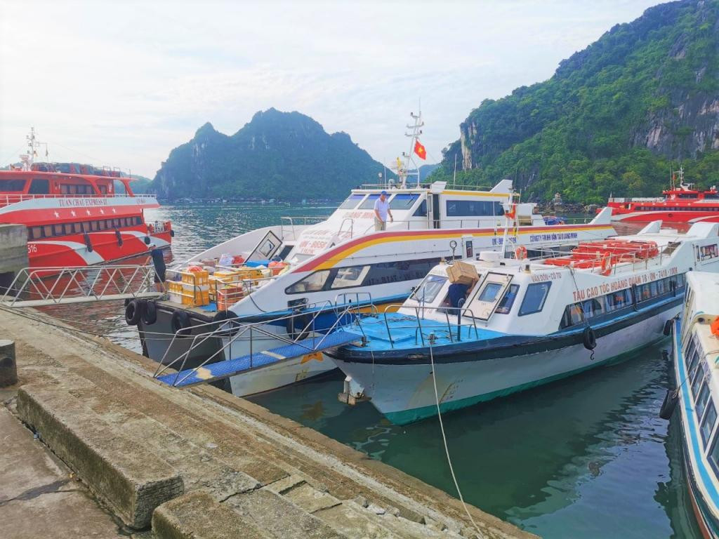 Tàu ra các tuyến đảo được neo đậu tại Vân Đồn. Ảnh QMG.