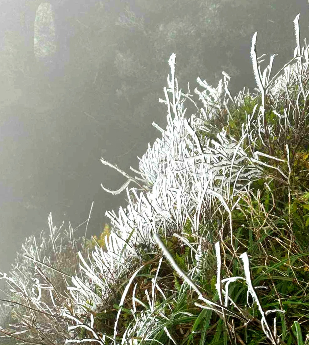 Một cảnh tượng khá thú vị đang diễn ra tại khu vực chùa Đồng khi mọi vật được phủ một lớp trắng xóa.