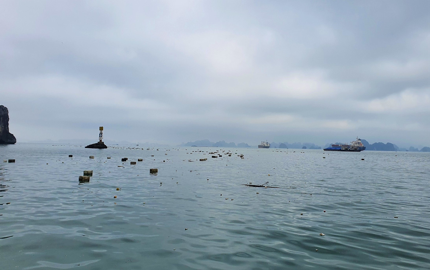 Nguyên nhân gây nên tình trạng này được các cơ quan chức năng lý giải là do trước đó các hộ dân tự tháo dỡ các lồng bè nuôi trồng thủy sản trái phép trên vịnh nên lượng phao xốp bị vứt bỏ tràn lan khiến vịnh Bái Tử Long và vịnh Hạ Long ngập rác.