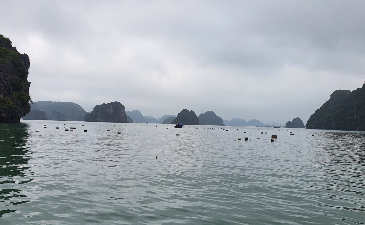 Trước đó, Ban Quản lý vịnh Hạ Long đã huy động hàng chục tàu thuyền và hơn 100 người tập trung vớt rác trên vịnh suốt 3 ngày. Lượng phao xốp thu được chất hàng đống nhưng chỉ là số lượng nhỏ đối với lượng phao xốp các hộ nuôi trồng thủy sản vứt bỏ.