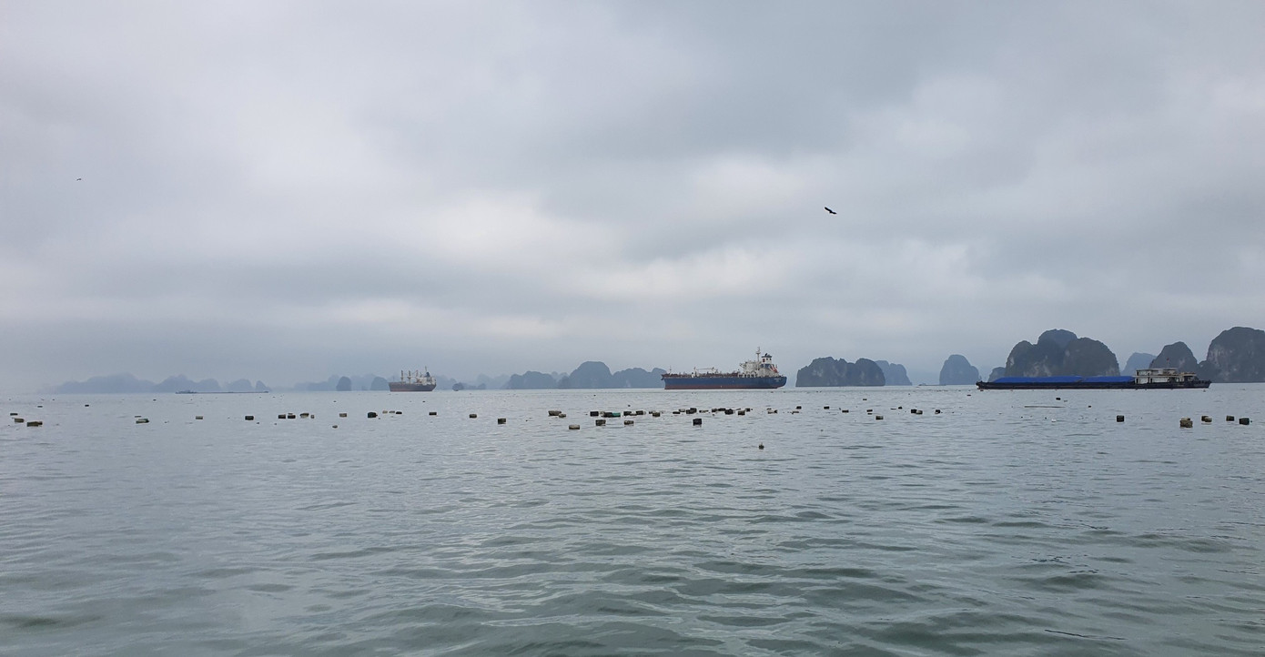 Hàng triệu tấm phao xốp mục nát trôi nổi trên mặt nước khiến vịnh bị ô nhiễm nghiêm trọng.