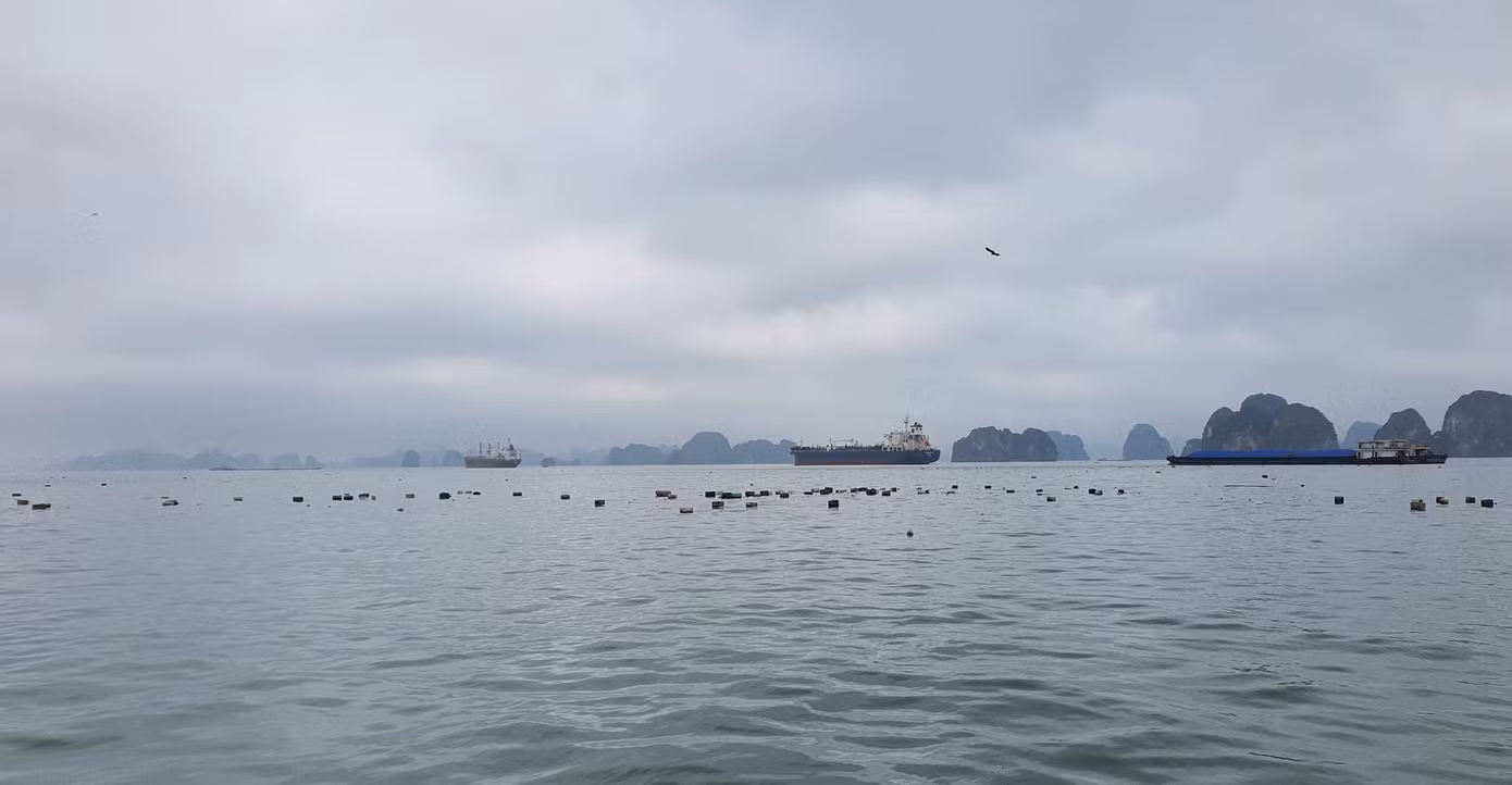 Hàng triệu tấm phao xốp mục nát trôi nổi trên mặt nước khiến vịnh bị ô nhiễm nghiêm trọng.