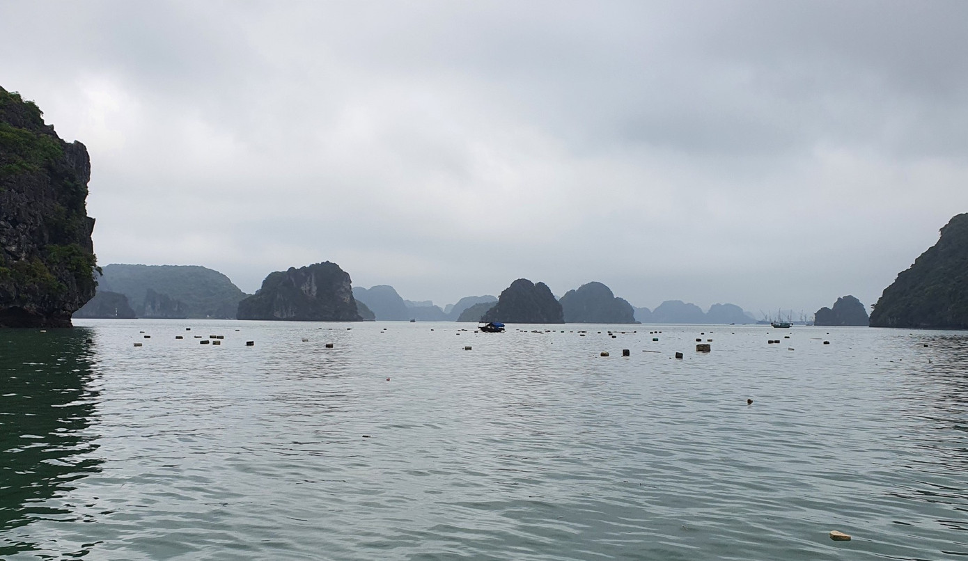 Mặc dù nhân viên môi trường vẫn thường xuyên vớt rác nhưng lượng phao xốp bị vứt bỏ quá lớn nên không thể vớt xuể.