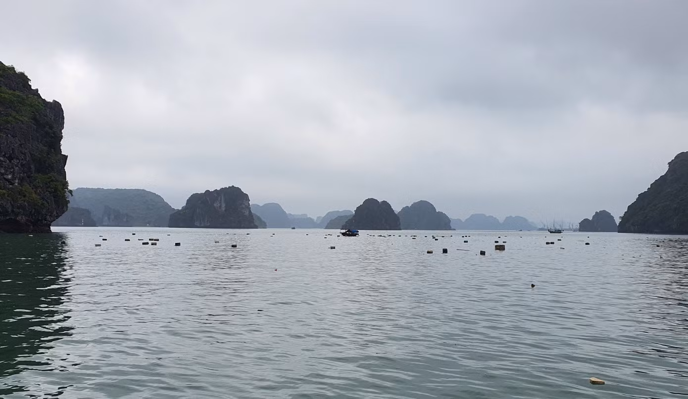 Mặc dù nhân viên môi trường vẫn thường xuyên vớt rác nhưng lượng phao xốp bị vứt bỏ quá lớn nên không thể vớt xuể.
