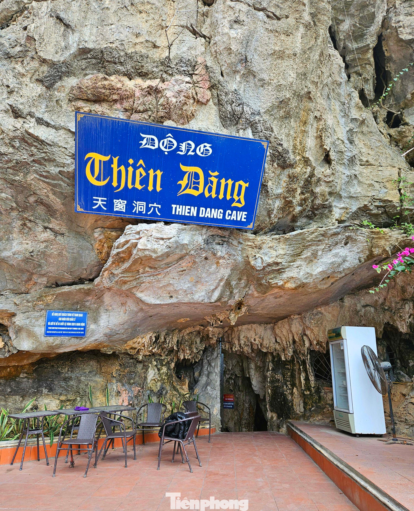 Trong hệ thống, hang động Thiên Đăng nằm ở lưng chừng núi. Hang động này cũng chịu chung cảnh bê tông hóa.