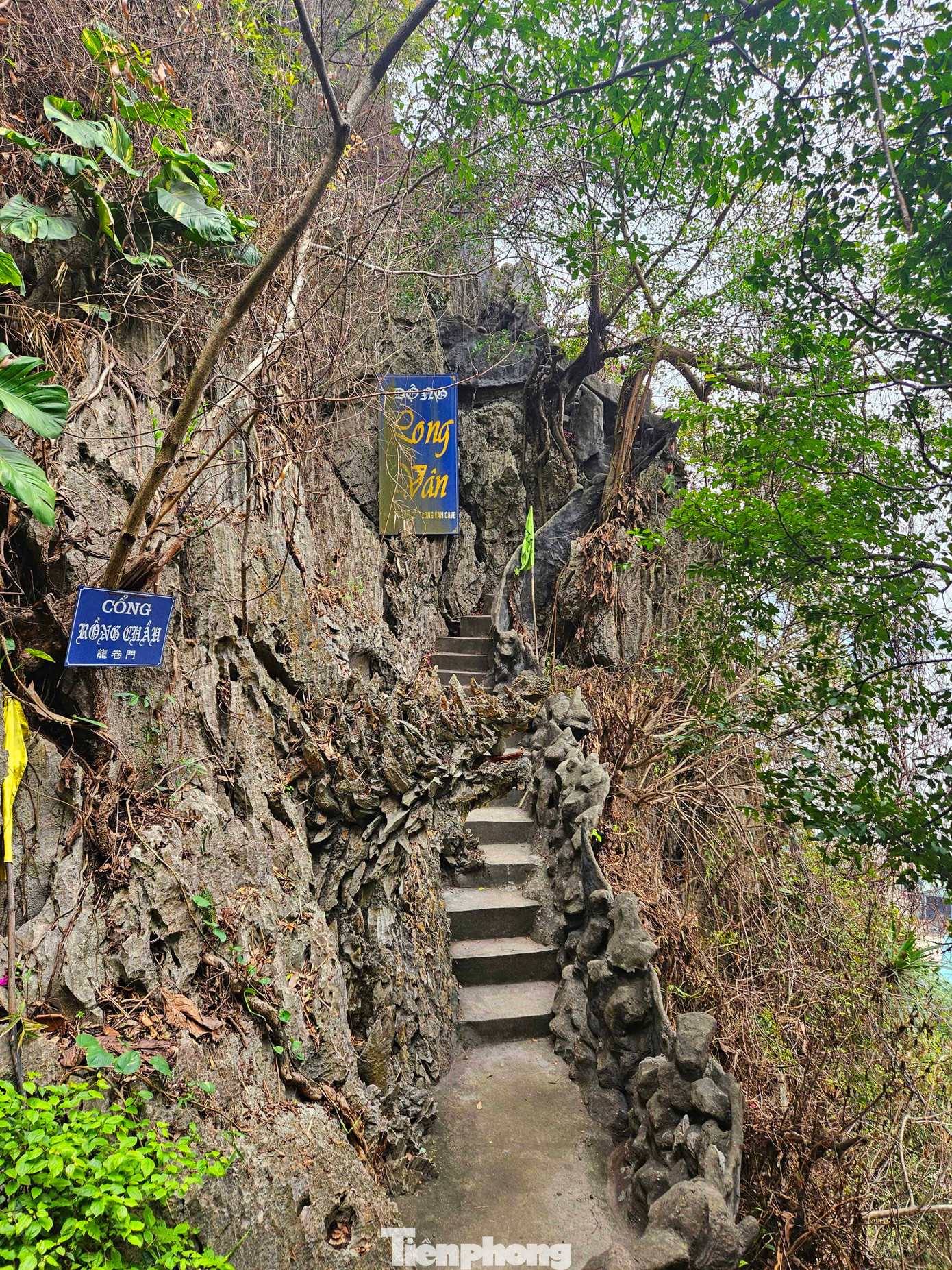 Tiếp theo là động Long Vân, hang động nằm cao nhất trong hệ thống 5 hang động Vũng Đục.