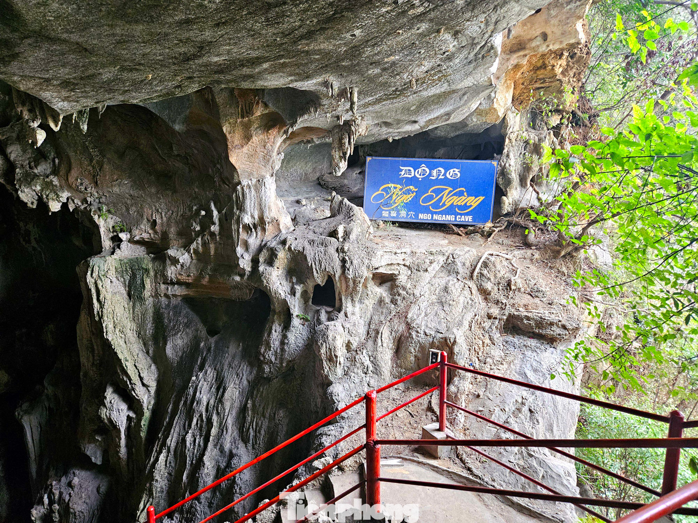 Động cuối cùng là động Ngỡ Ngàng.