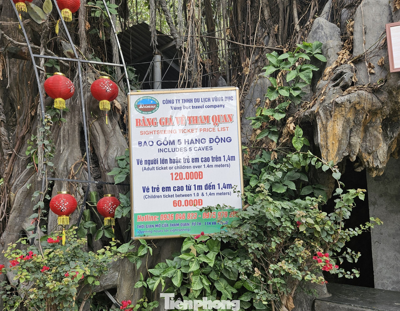 Bảng giá vé lại là tên Công ty TNHH Du lịch Vũng Đục. Bảng giá vé lại là tên Công ty TNHH Du lịch Vũng Đục.