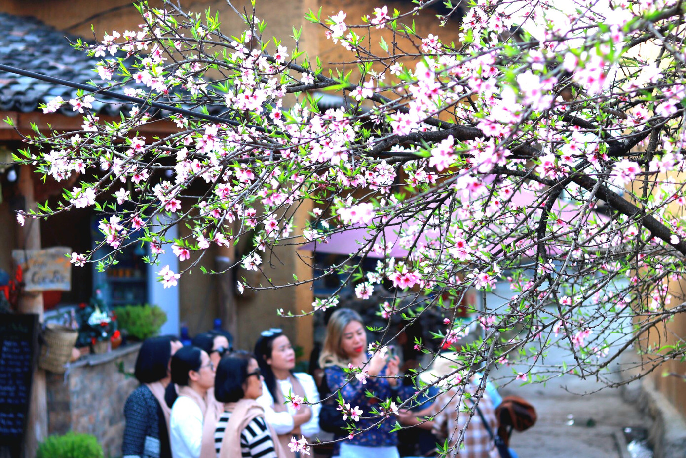 Du khách đến với Hà Giang ngày một đông, nhiều điểm đến đã có dấu hiệu quá tải bởi sức hút của vẻ đẹp nơi đây. Du khách đến với Hà Giang ngày một đông, nhiều điểm đến đã có dấu hiệu quá tải bởi sức hút của vẻ đẹp nơi đây.