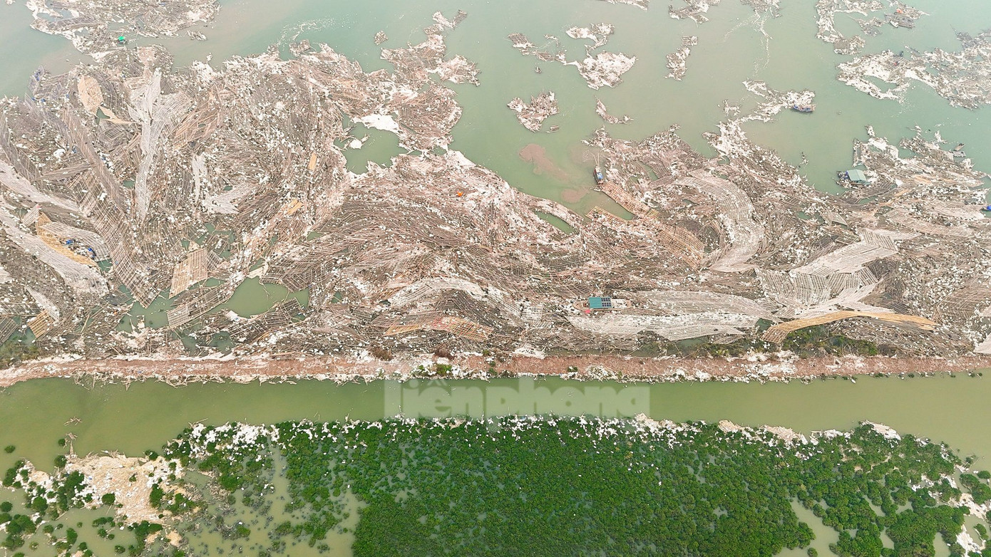 Hàng vạn lồng bè nuôi biển của ngư dân Quảng Ninh bị bão số 3 quật tan tác.