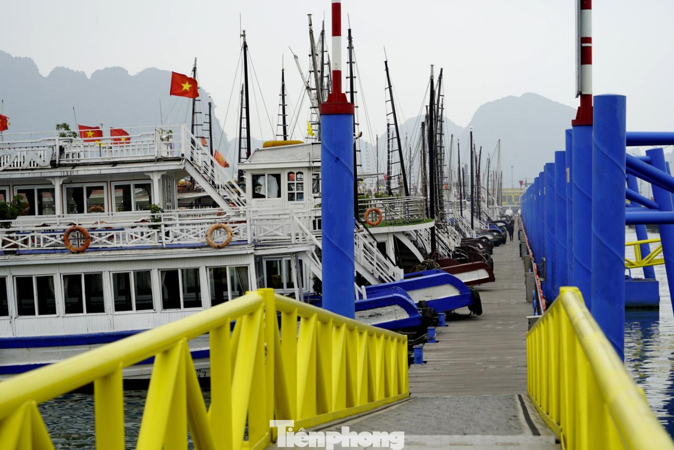 Tại bến tàu, hàng trăm con tàu du lịch đang nằm im lìm cạnh cầu cảng
