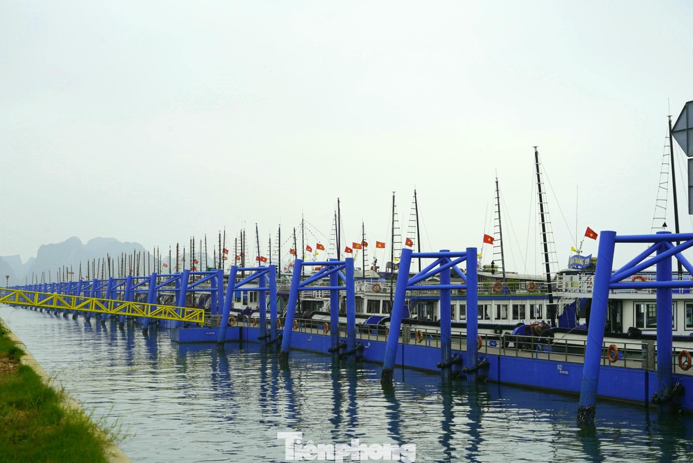 Đây là những hình ảnh hiếm thấy của du lịch Hạ Long trước khi đại dịch xảy ra