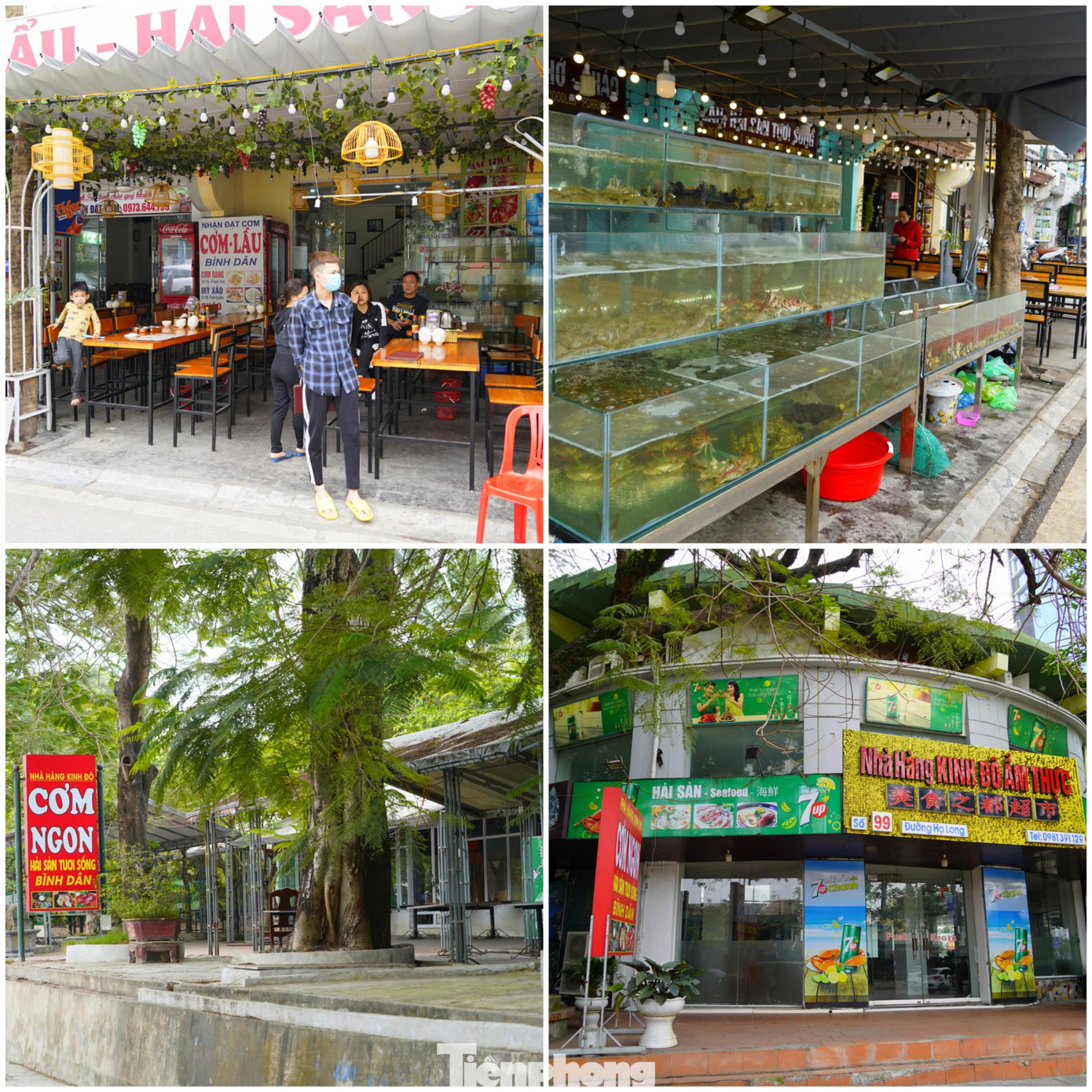 Các nhà hàng, quán ăn cũng mở cửa trở lại nhưng chỉ có chủ quán và nhân viên ngồi chờ khách