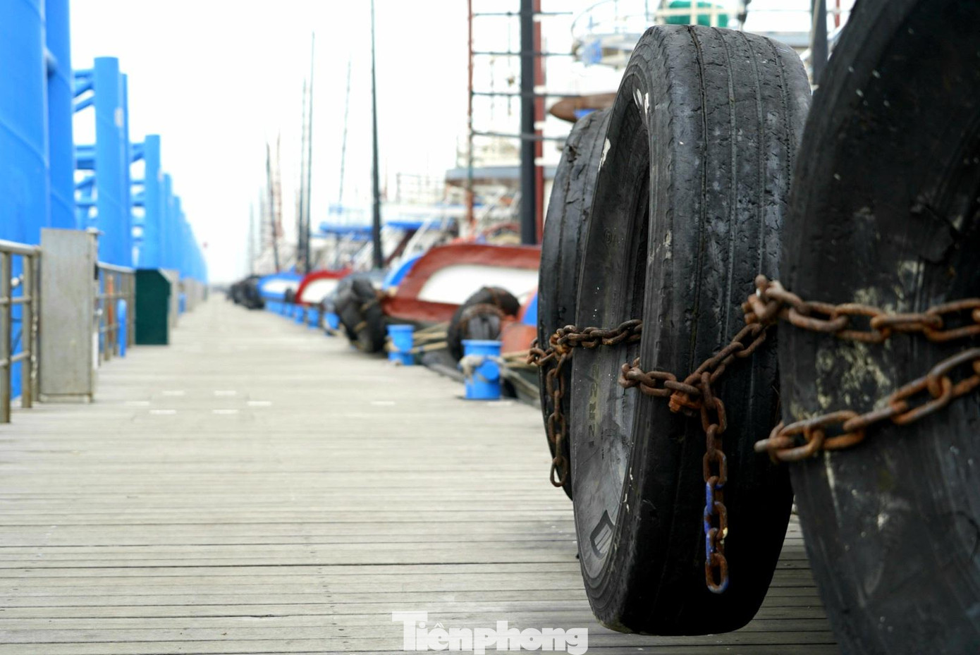 "Chúng tôi đang chết dần, chết mòn chờ khách. Không chạy tàu nhưng vẫn phải vận hành, vẫn sửa chữa, bảo dưỡng tàu. Tiền lãi ngân hàng vẫn phải đóng hàng tháng. Cơm vẫn phải ăn nhưng tau không thể chạy", một chủ tàu đang neo đậu tại cảng ngán ngẩm nói
