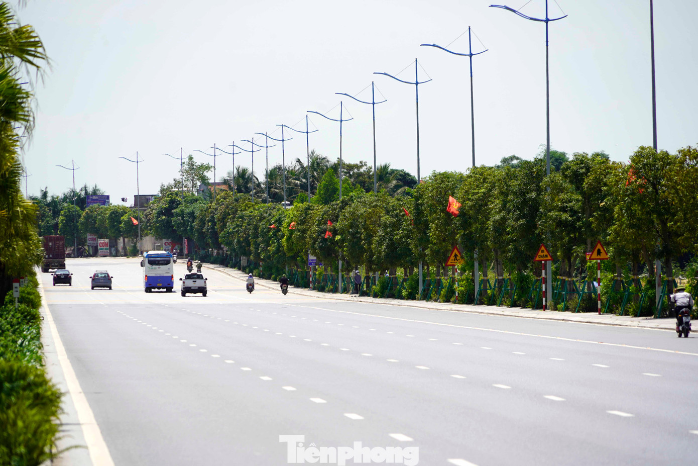 Từ năm 2021, hàng xoài này được giao cho thành phố Hạ Long chăm sóc, quản lý.