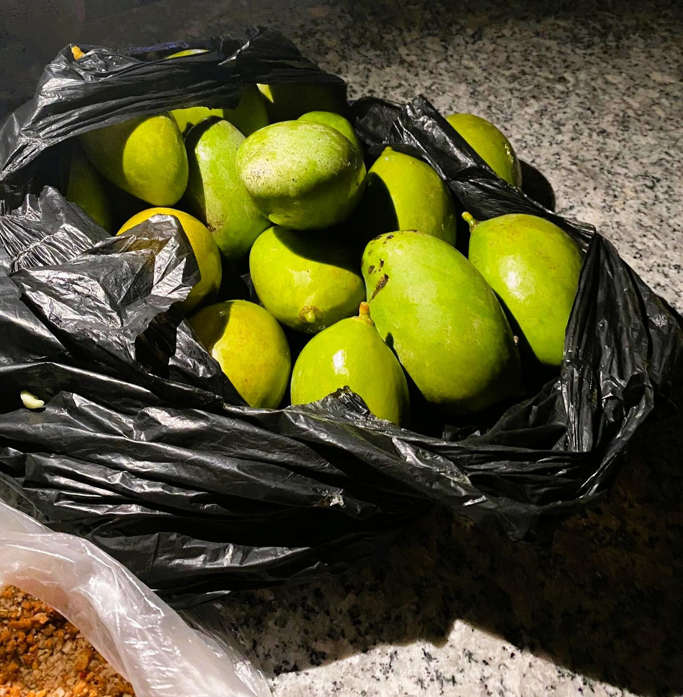 Nhiều bạn thanh niên còn mang theo cả muối để chấm với xoài xanh ngay tại gốc cây khi hái được.