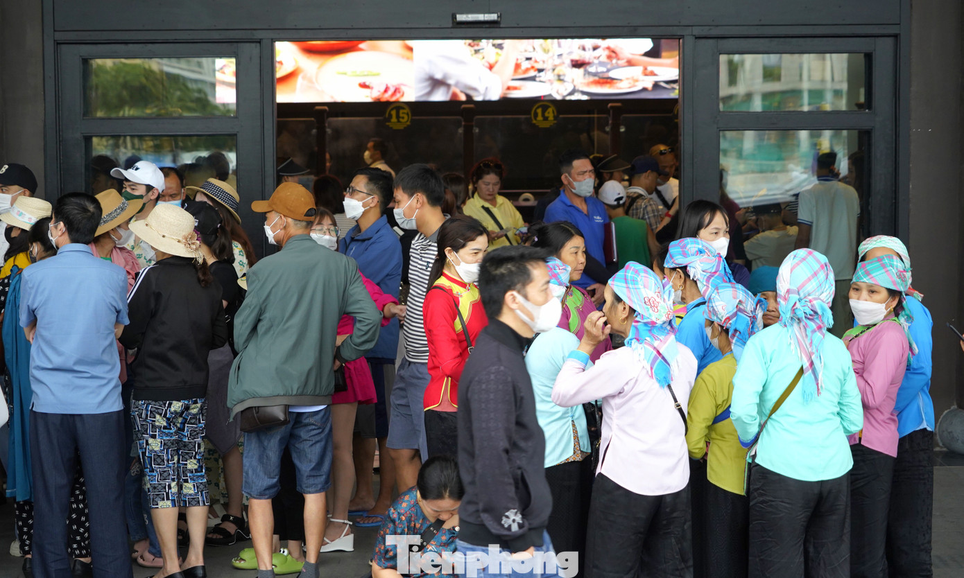 Trước đây, mỗi ngày cảng tàu đón hơn 1 vạn lượt khách thăm vịnh mỗi ngày.