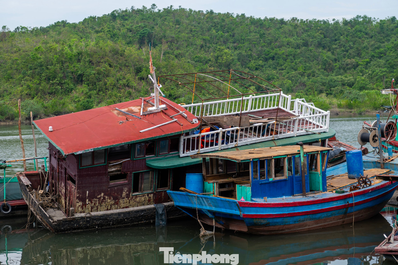 Cùng với dự án của TP Hạ Long đưa ngư dân trên biển lên bờ, cảng cá Cái Xà Cong được xây dựng cách khu tái định cư khoảng 200 mét để thuận tiện cho ngư dân đưa tàu thuyền về bờ neo đậu.