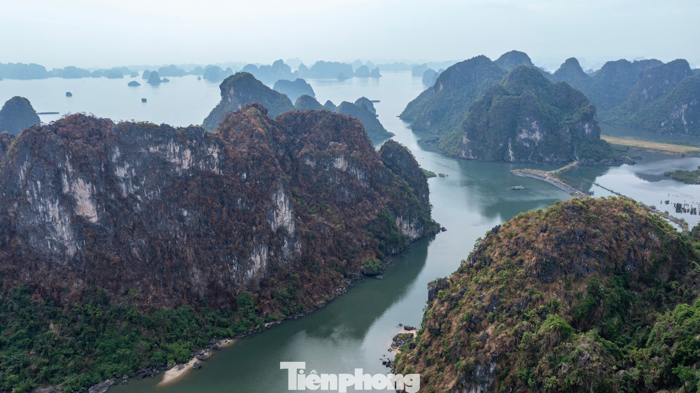 Ngoài ra, tuyến đường kết nối đường Trần Quốc Nghiễn vào cảng Cái Xà Cong chỉ là tuyến đường giao thông nông thôn có chiều dài tuyến khoảng 860m, bề rộng mặt đường khoảng 7m, kết cấu bê tông xi măng, không đảm bảo giao thông cho xe tải cỡ lớn đi vào.