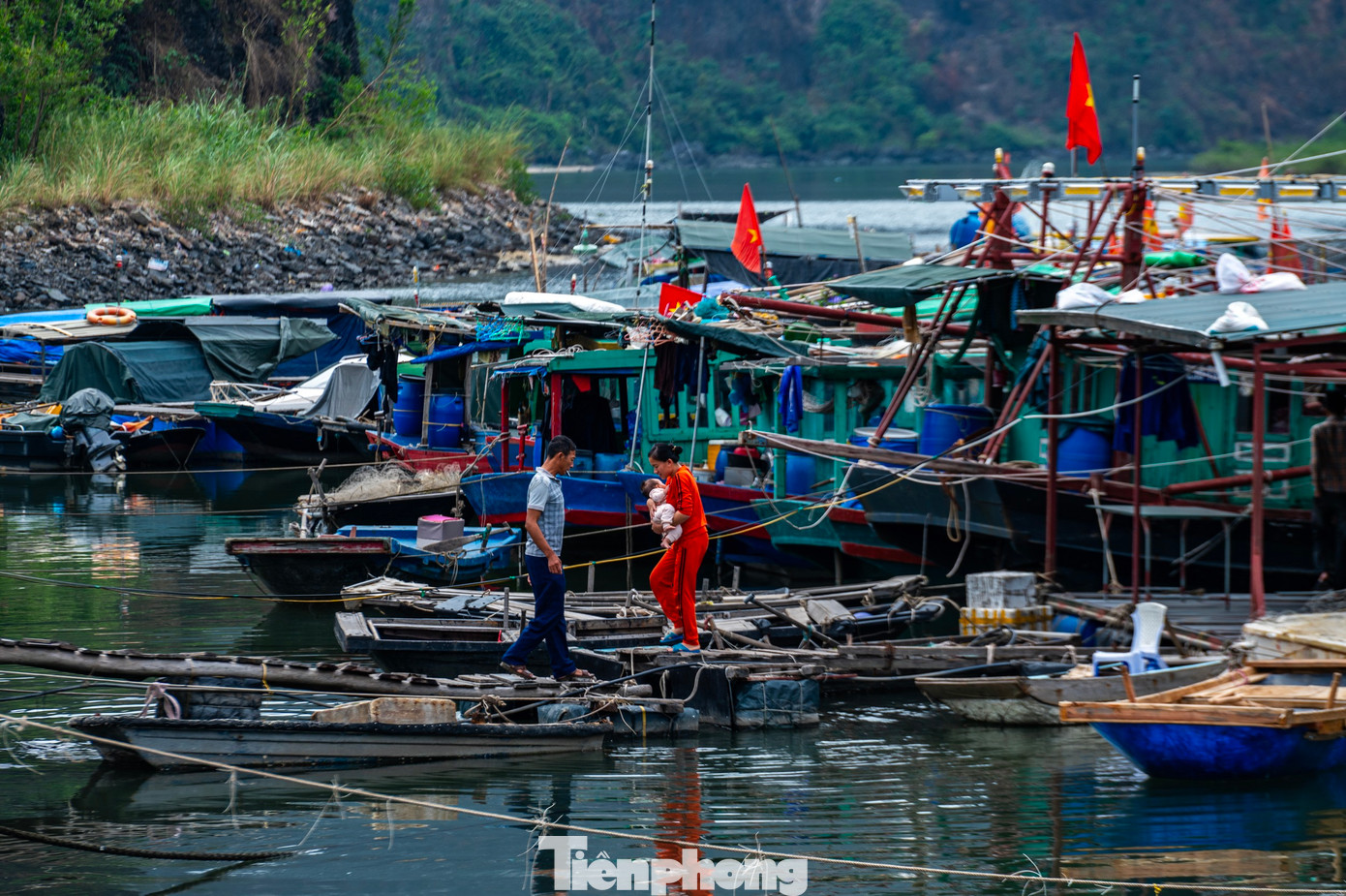 Cũng do luồng lạch vào cảng khó khăn, nên thời gian qua nhiều ngư dân đành phải di chuyển phương tiện vào cảng cá Sa Tô, phường Cao Xanh, TP Hạ Long để neo đậu, mặc dù việc di chuyển mất nhiều thời gian, tốn nhiên liệu, nhưng họ không có lựa chọn nào khác.