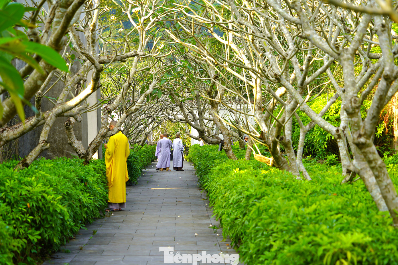 Toàn bộ kiến trúc của công trình được thiết kế bằng cách lấy cảm hứng từ các kiến trúc cổ còn sót lại ở Yên Tử, đặc biệt là tháp Huệ Quang cùng với các bức tường quanh tháp và các di sản văn hóa, lịch sử của Việt Nam và Thiền phái Trúc Lâm trên núi Yên Tử. Toàn bộ kiến trúc của công trình được thiết kế bằng cách lấy cảm hứng từ các kiến trúc cổ còn sót lại ở Yên Tử, đặc biệt là tháp Huệ Quang cùng với các bức tường quanh tháp và các di sản văn hóa, lịch sử của Việt Nam và Thiền phái Trúc Lâm trên núi Yên Tử.