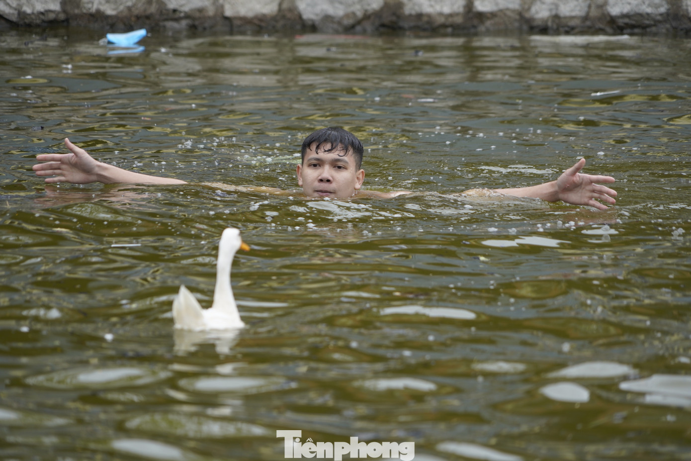 Nước hồ khá sâu nên đòi hỏi kỹ năng vừa bơi vừa lùa vịt.