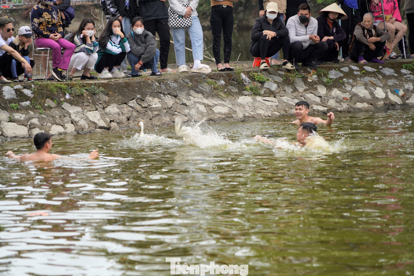 Mặc dù đã ép được chú vịt vào gần bờ nhưng không ít lần các thanh niên để vịt lặn mất.