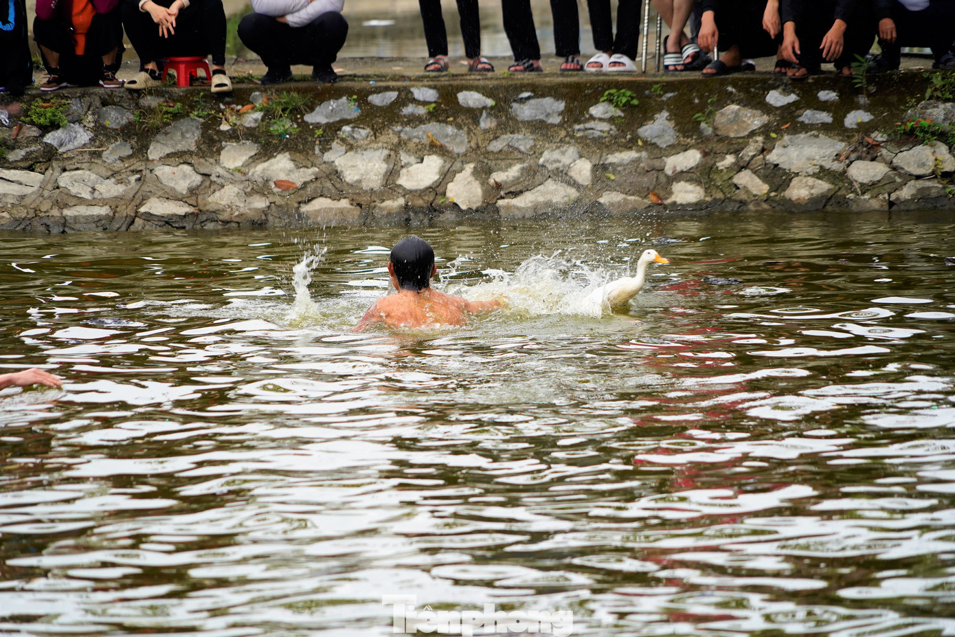 Mặc dù các thanh niên rất nhanh nhẹn nhưng để bắt được vịt dưới nước quả là một thử thách thực sự.