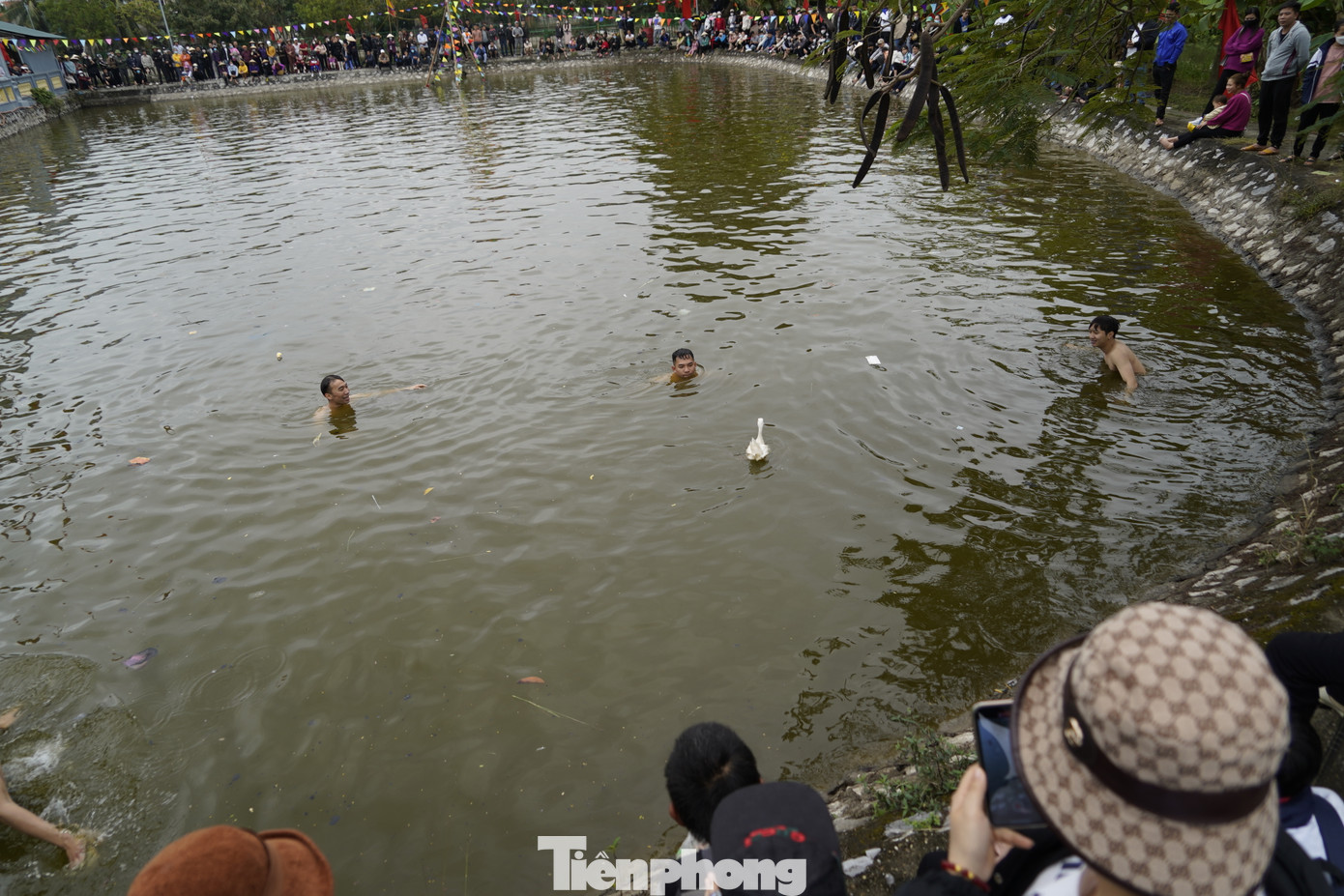 3 người sẽ dồn vịt vào góc hồ sau đó khép dần vòng vây.