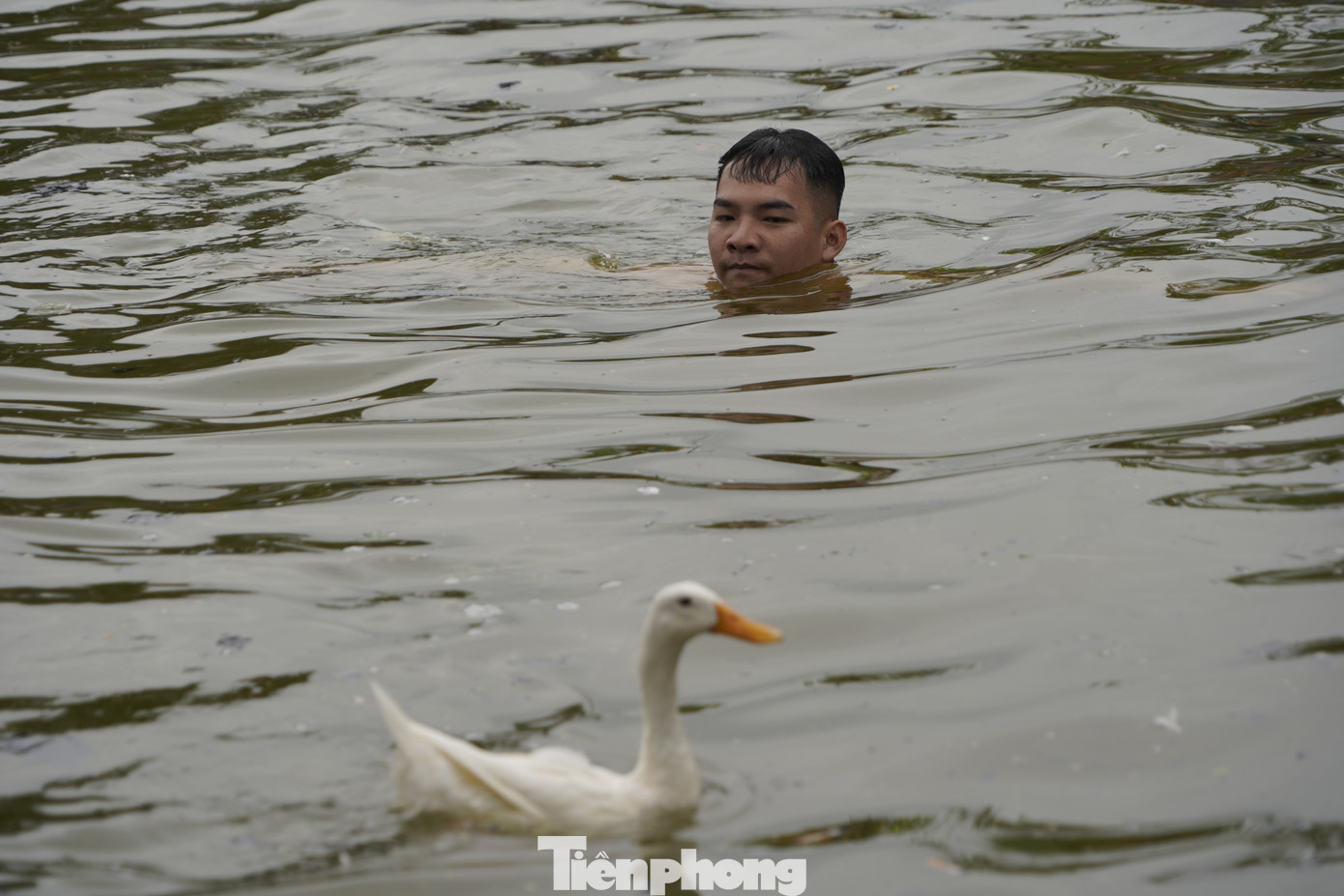 Những "chốt chặn" dần khép lại và tung chiêu cuối khi tiếp cận gần chú vịt nhất.