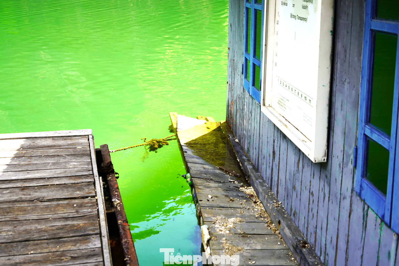 Hệ thống phao cũng bị vỡ, thủng khiến nhiều ngôi nhà nửa chìm, nửa nổi trên mặt vịnh.