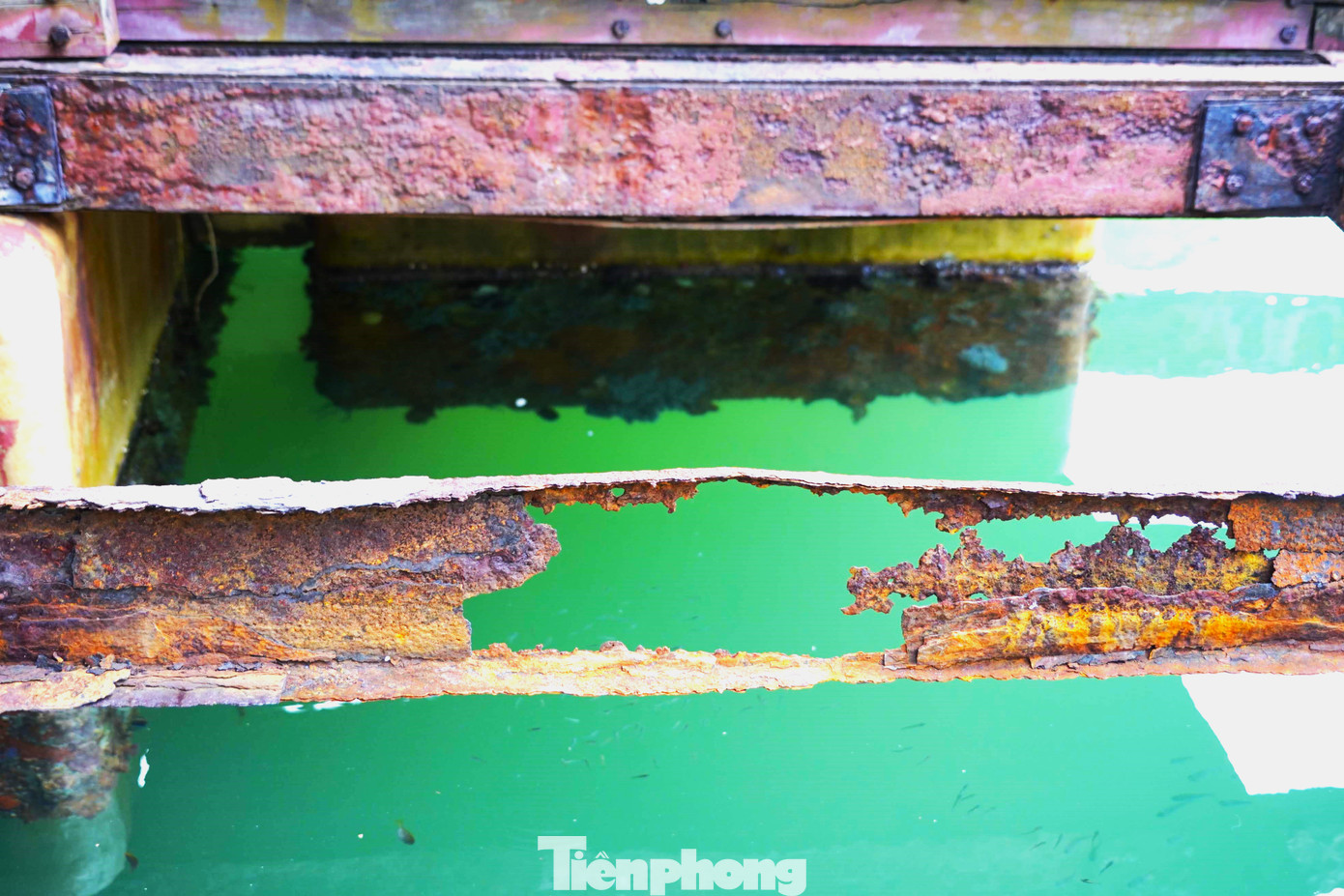 Hệ thống khung gầm của khu bảo tồn bị nước biển ăn mòn trơ cả sắt thép.