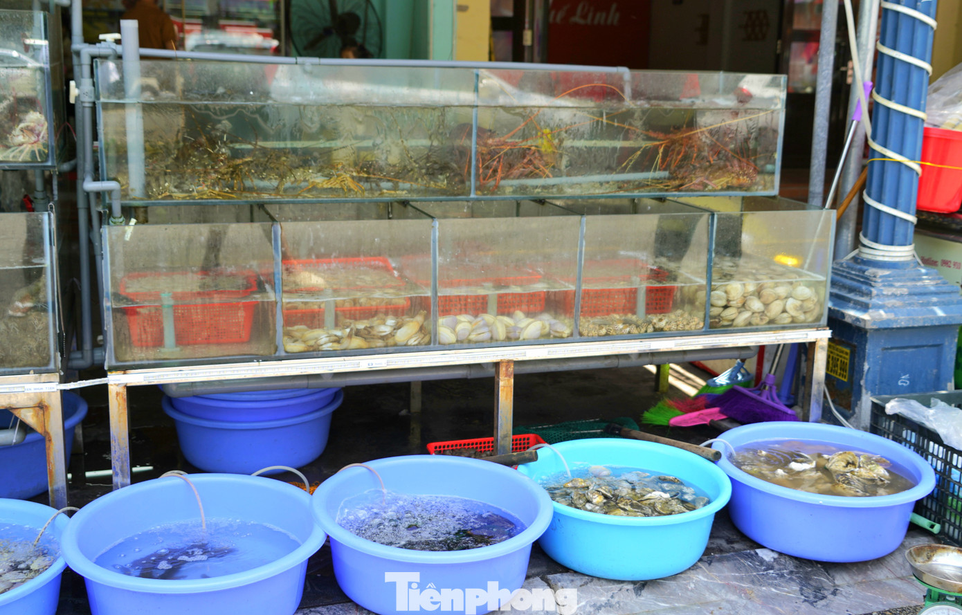 Đa số du khách đều chọn những quán ăn bình dân với những món hải sản được bày bán có niêm yết giá.