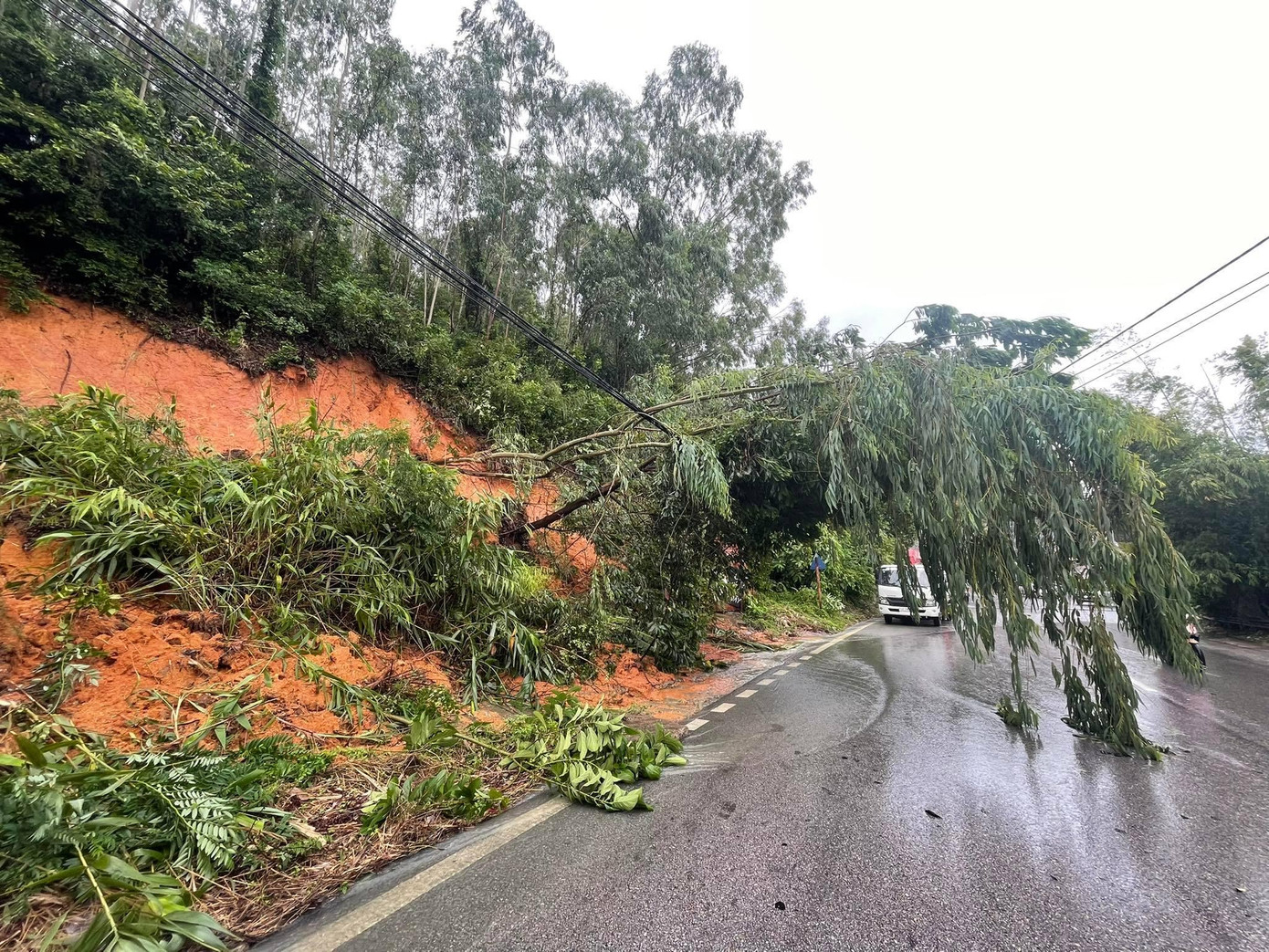 Tại đường Hậu Cần, một số điểm bị sạt lở, cây cối đổ chắn ngang đường.