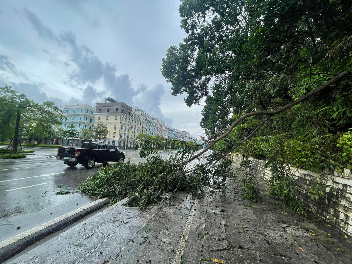 Tại thành phố Móng Cái có hơn 120 cây xanh bị gẫy đổ trên các tuyến phố; ngập khoảng 14ha lúa, màu; ngập cục bộ khu vực Hải Hòa.