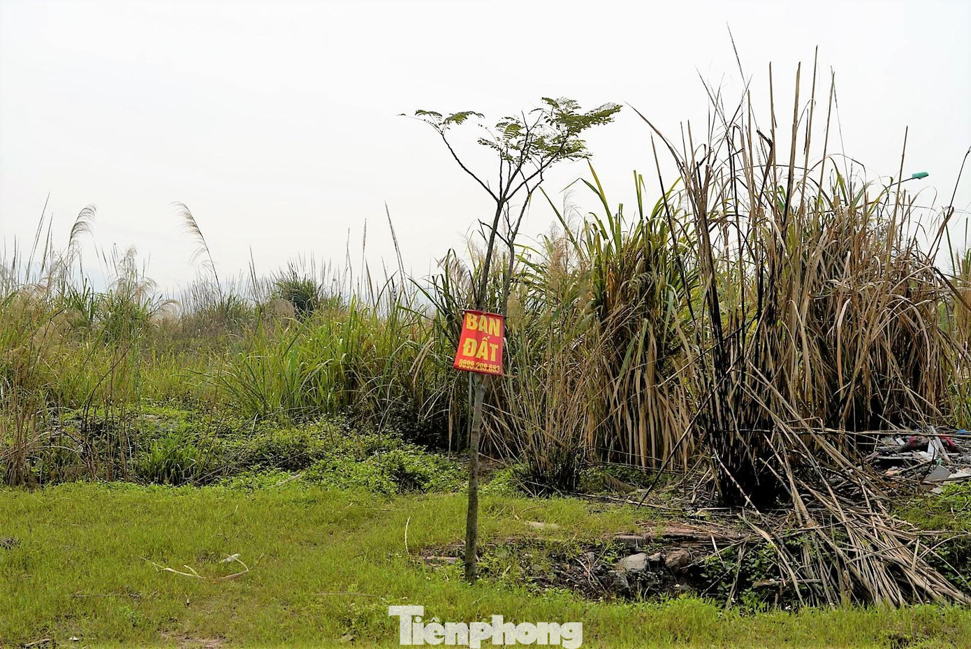 Lác đác vẫn còn một số biển bán đất treo từ ngày này sang tháng khác.
