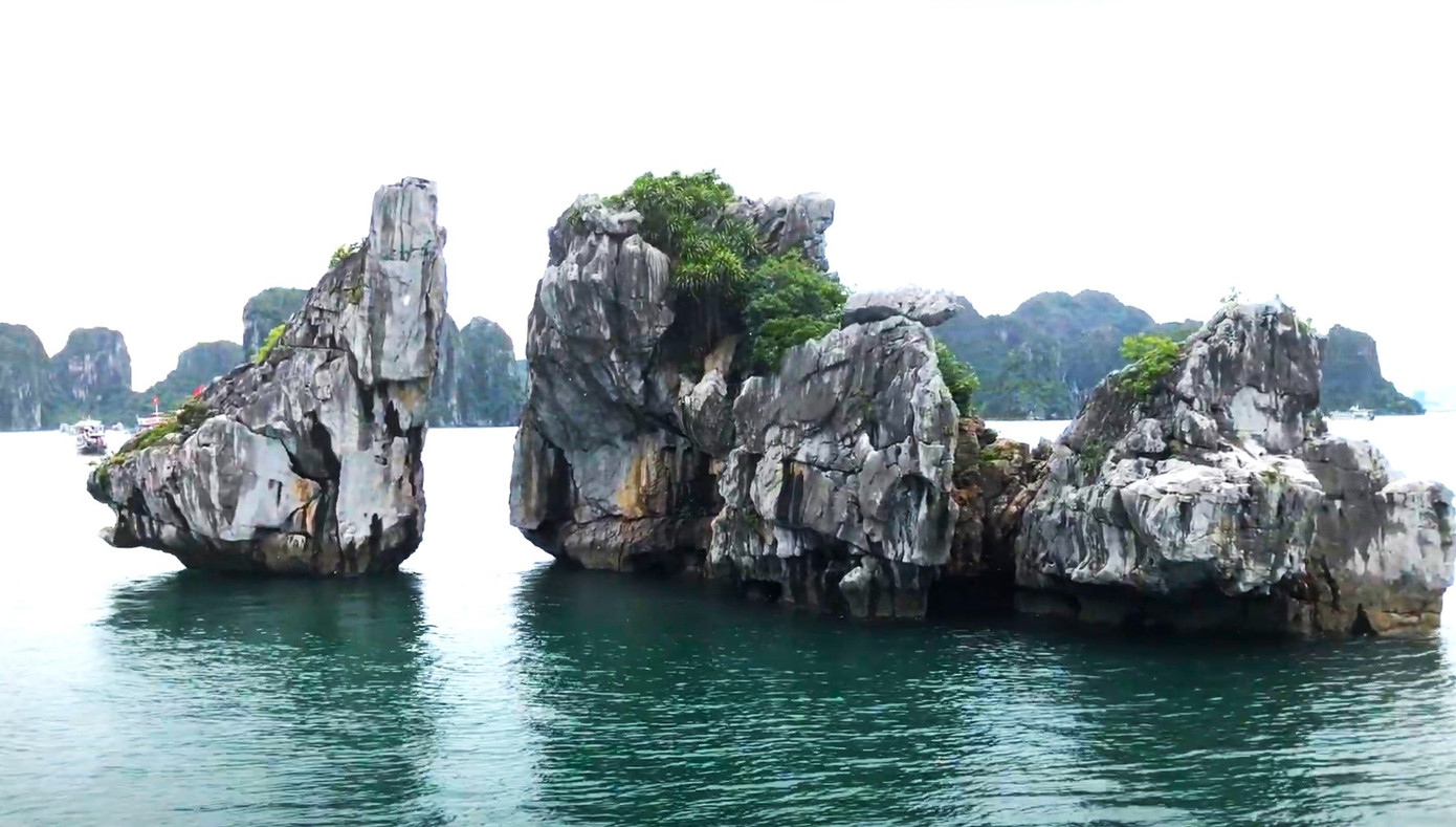 Một số giải pháp khả thi được lựa chọn là dùng neo bảo vệ các khối trượt, bơm trám xi măng các khe nứt, xây tường bê tông chịu lực hỗ trợ gia cố các vách hang và hệ thống đê bao vòng quanh chân cụm đảo nhằm giúp xử lý độ ổn định chân đế hòn Trống Mái…