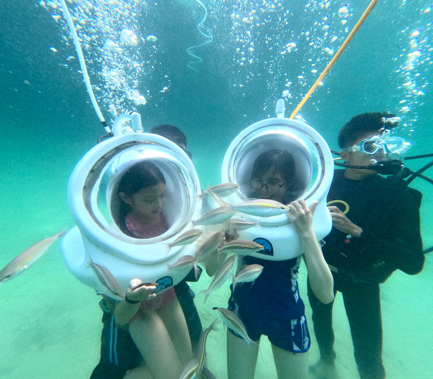 Cách đất liền khoảng 80 km, huyện đảo Cô Tô sở hữu vùng biển đẹp, hoang sơ, thu hút hàng chục nghìn lượt khách tham quan mỗi năm. Để làm mới hoạt động du lịch, từ tháng 4, UBND tỉnh Quảng Ninh cho phép triển khai hoạt động lặn biển tại vụng Tròn, Hòn Chim và Hòn Ông Tích thuộc xã đảo Thanh Lân.