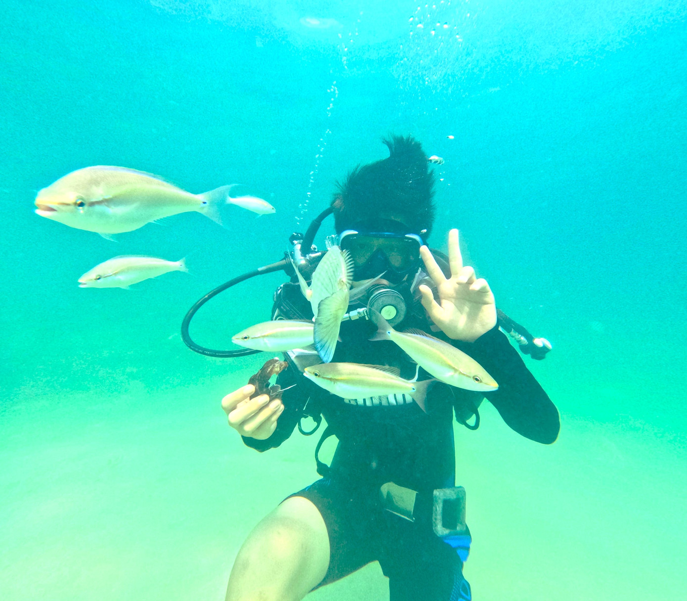 Nếu giỏi bơi, lặn bạn có thể chọn hình thức bơi lặn với bình dưỡng khí, quần áo chuyên dụng, để khám phá các ngõ ngách của đại dương.